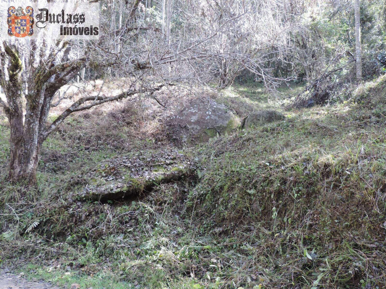 Sítio, 2 quartos, 100 m² - Foto 28