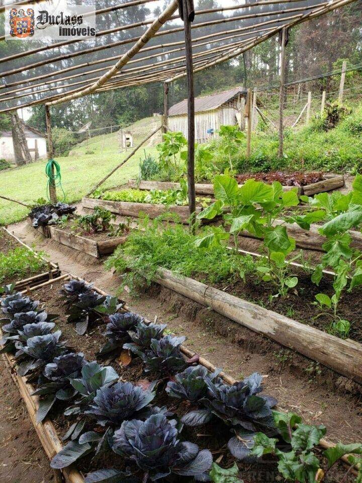 Sítio, 2 quartos, 100 m² - Foto 34