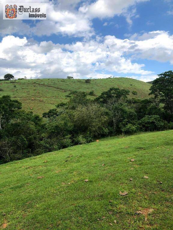 Terreno, 218 hectares - Foto 2