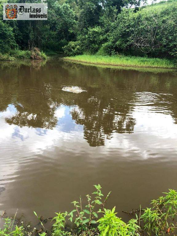 Terreno, 218 hectares - Foto 6