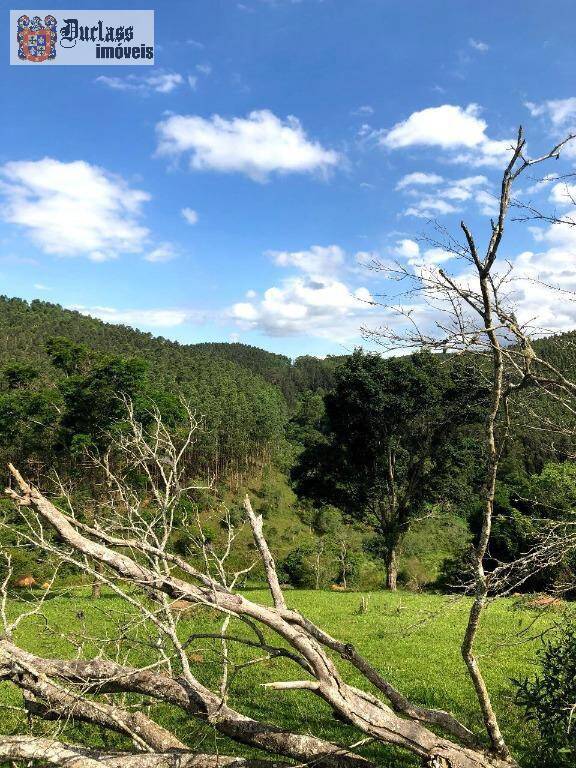 Terreno, 218 hectares - Foto 9