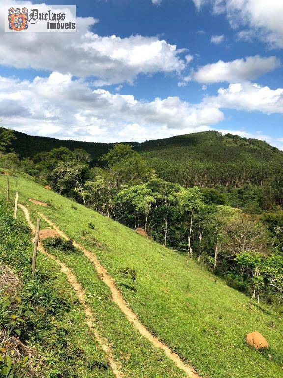 Terreno, 218 hectares - Foto 8