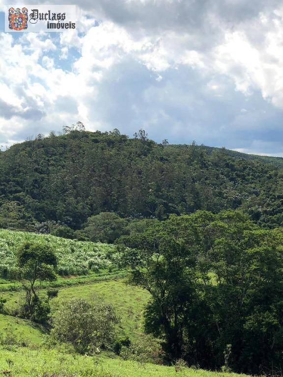 Terreno, 218 hectares - Foto 7