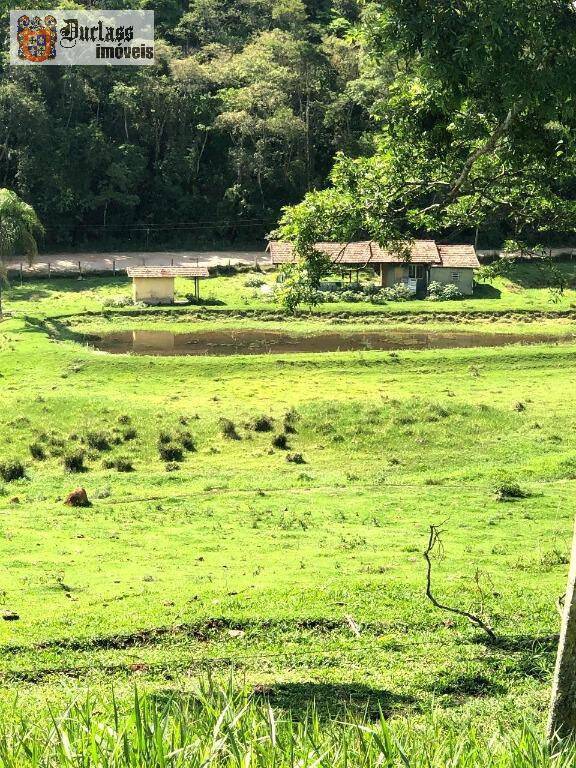 Terreno, 218 hectares - Foto 10