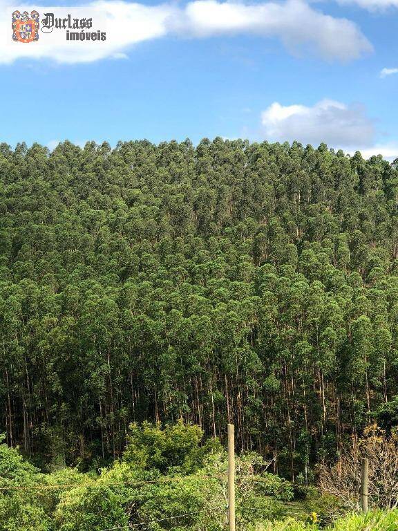 Terreno, 218 hectares - Foto 11