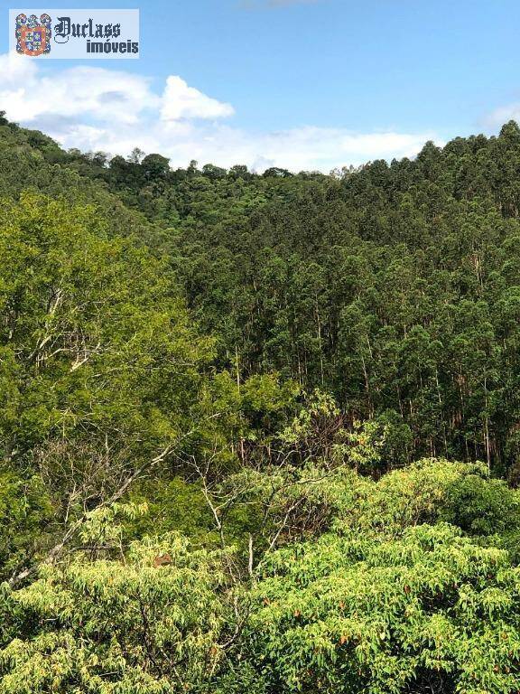 Terreno, 218 hectares - Foto 13