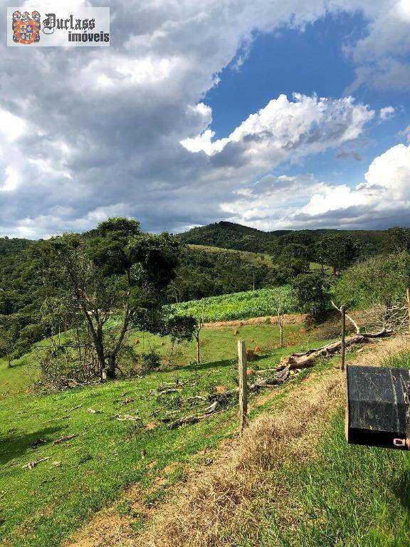 Terreno, 218 hectares - Foto 12