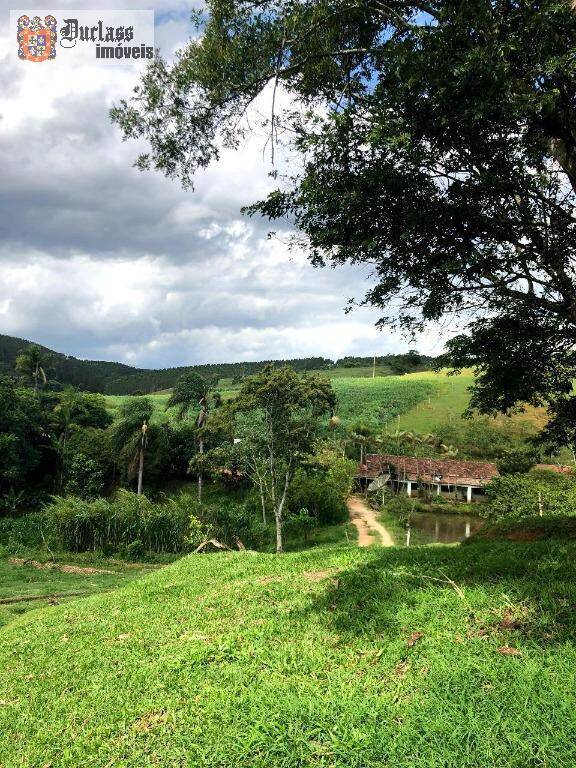 Terreno, 218 hectares - Foto 15