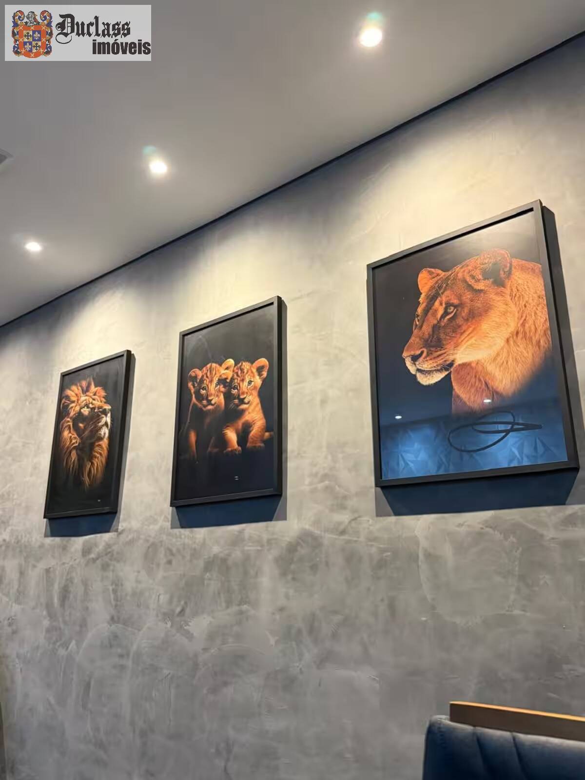Chácara à venda com 3 quartos, 540m² - Foto 30
