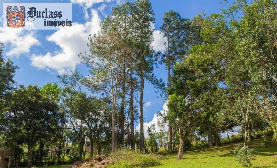 Sítio, 7 quartos, 3 hectares - Foto 13