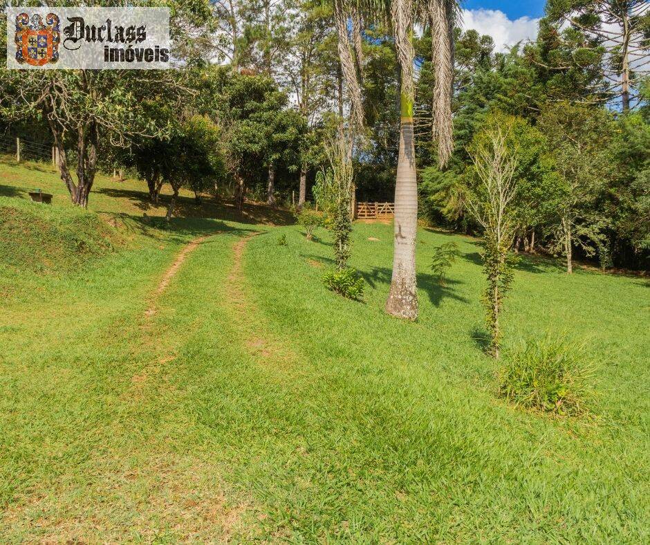 Sítio, 7 quartos, 3 hectares - Foto 17