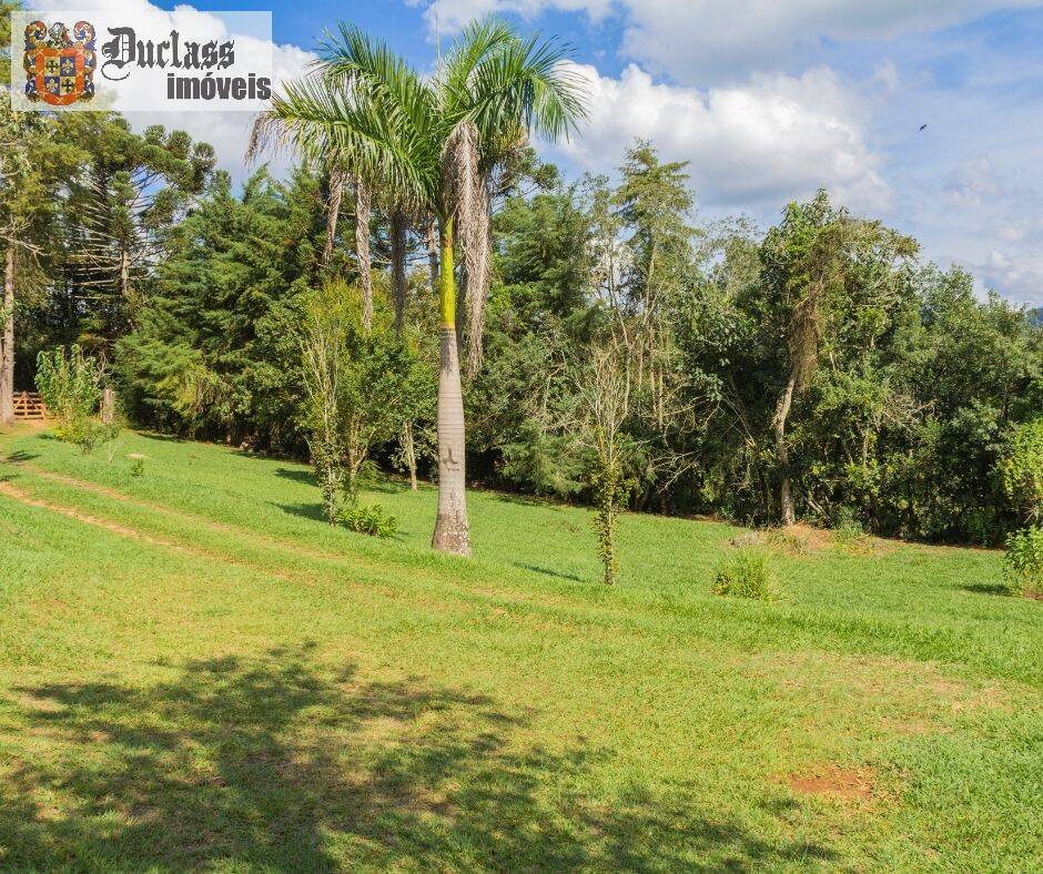 Sítio, 7 quartos, 3 hectares - Foto 19