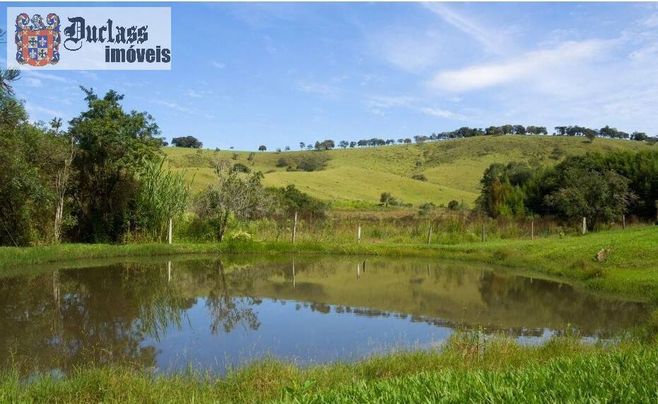 Sítio, 7 quartos, 3 hectares - Foto 39