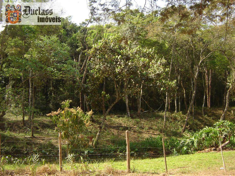 Sítio, 14 quartos, 3 hectares - Foto 33