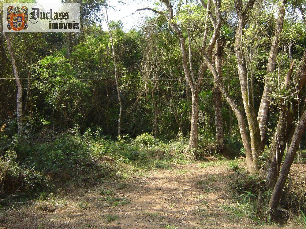 Sítio, 14 quartos, 3 hectares - Foto 34