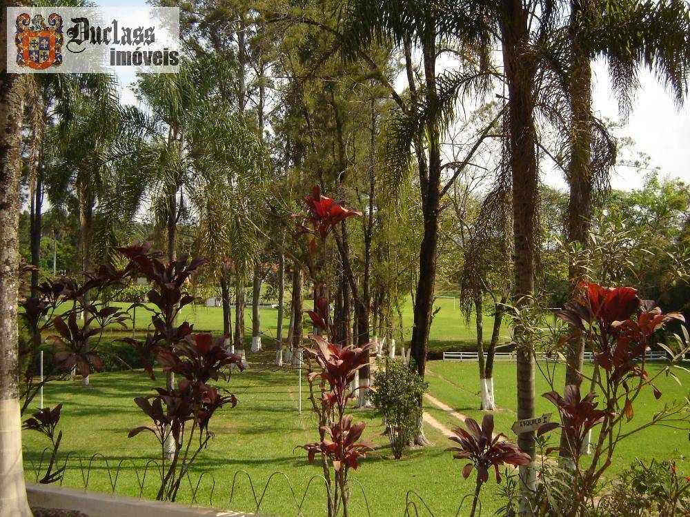 Sítio, 14 quartos, 3 hectares - Foto 36