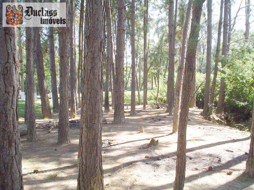 Sítio, 14 quartos, 3 hectares - Foto 37