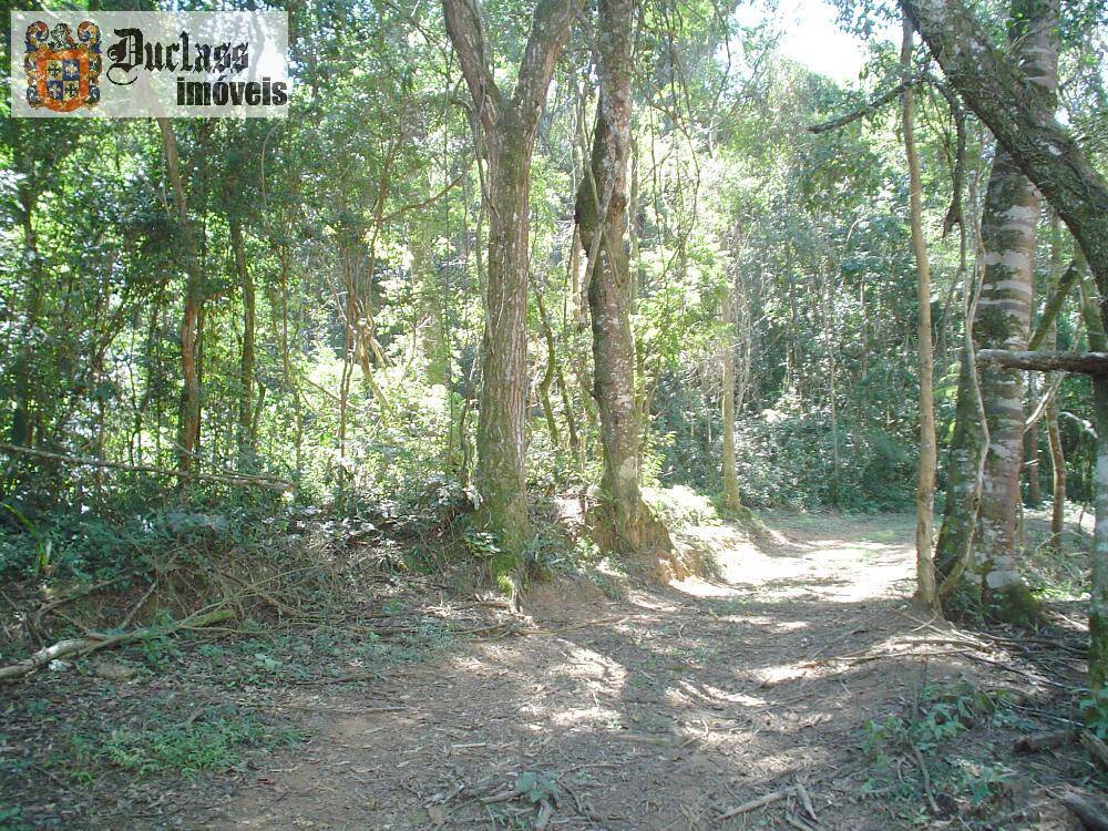 Sítio, 14 quartos, 3 hectares - Foto 42