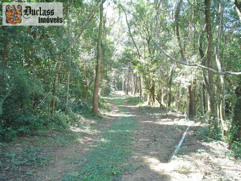 Sítio, 14 quartos, 3 hectares - Foto 44