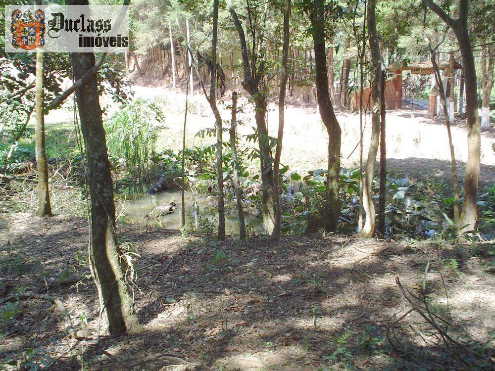 Sítio, 14 quartos, 3 hectares - Foto 43