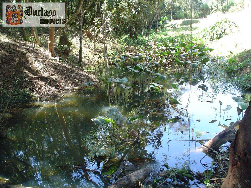 Sítio, 14 quartos, 3 hectares - Foto 60