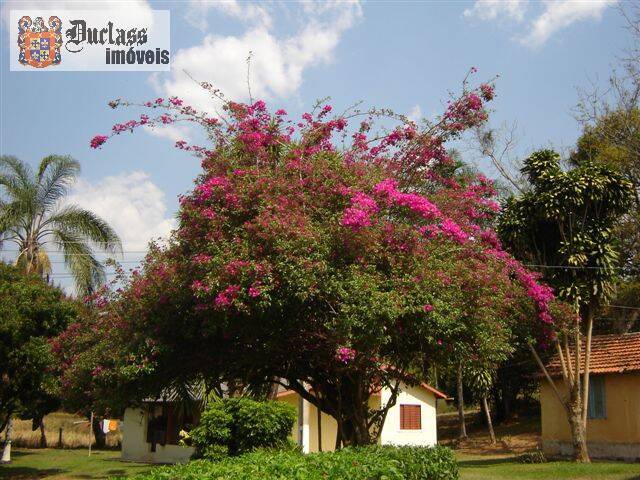 Sítio, 14 quartos, 3 hectares - Foto 93