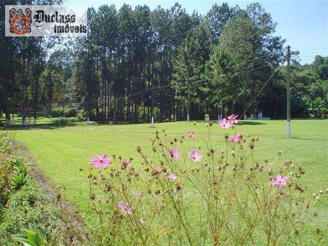 Sítio, 14 quartos, 3 hectares - Foto 99