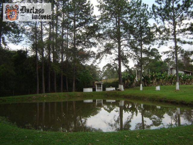 Sítio, 14 quartos, 3 hectares - Foto 103