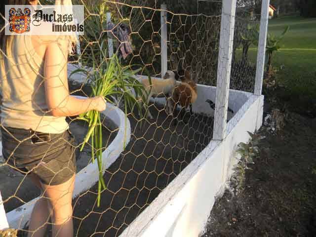 Sítio, 14 quartos, 3 hectares - Foto 110