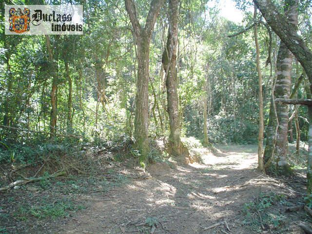 Sítio, 14 quartos, 3 hectares - Foto 118