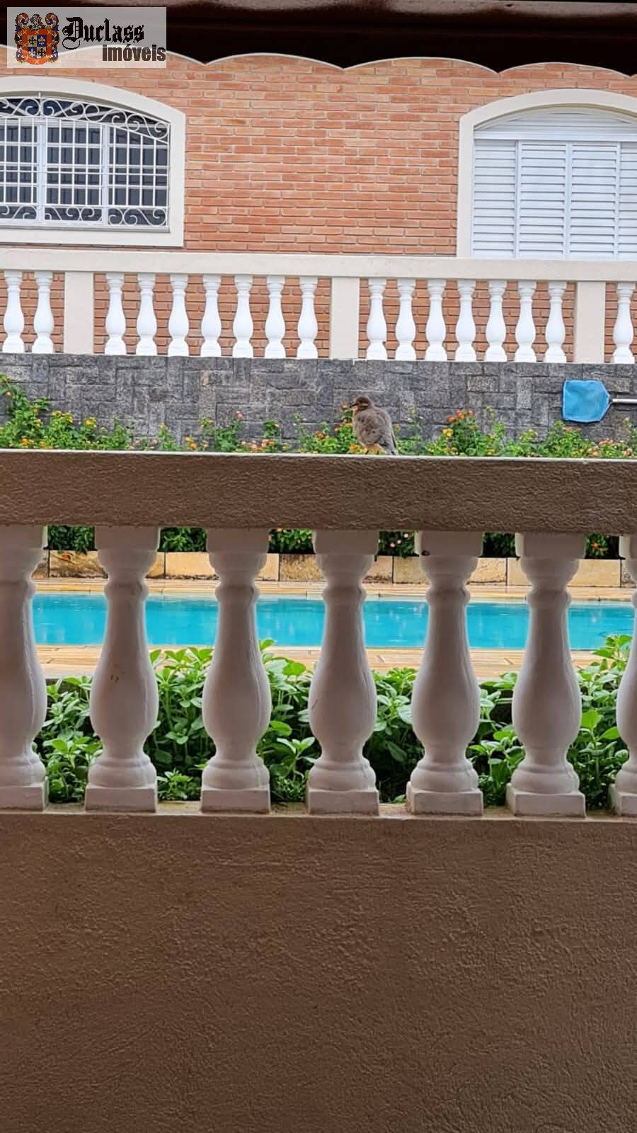 Chácara, 3 quartos, 800 m² - Foto 6