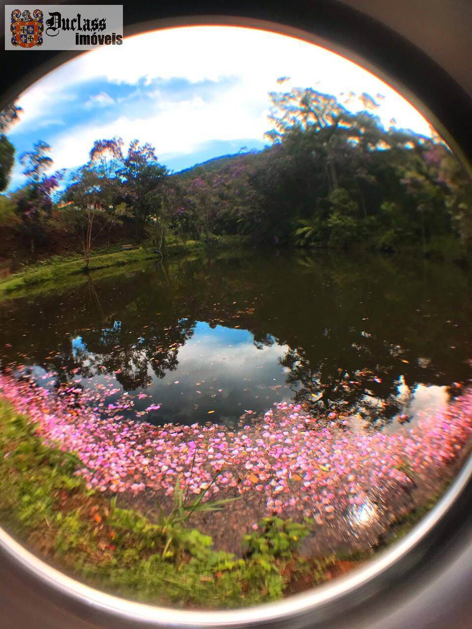 Chácara, 3 quartos, 2000 m² - Foto 4