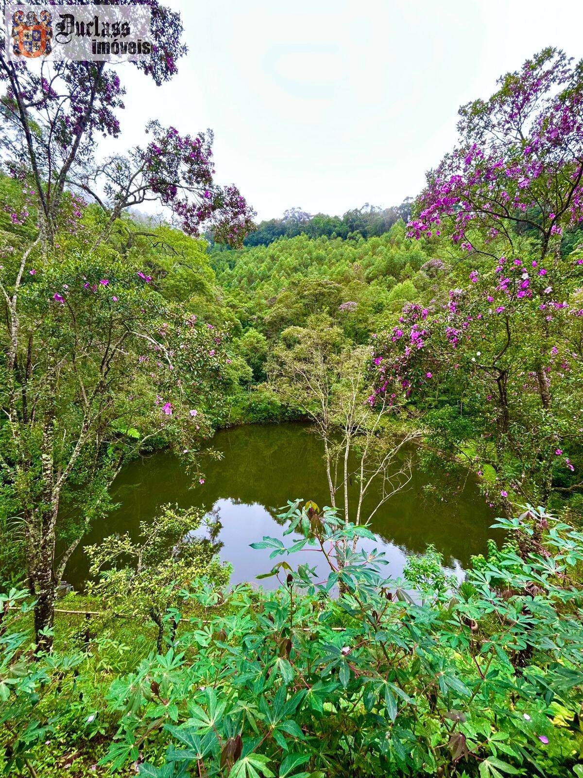 Chácara, 3 quartos, 2000 m² - Foto 6