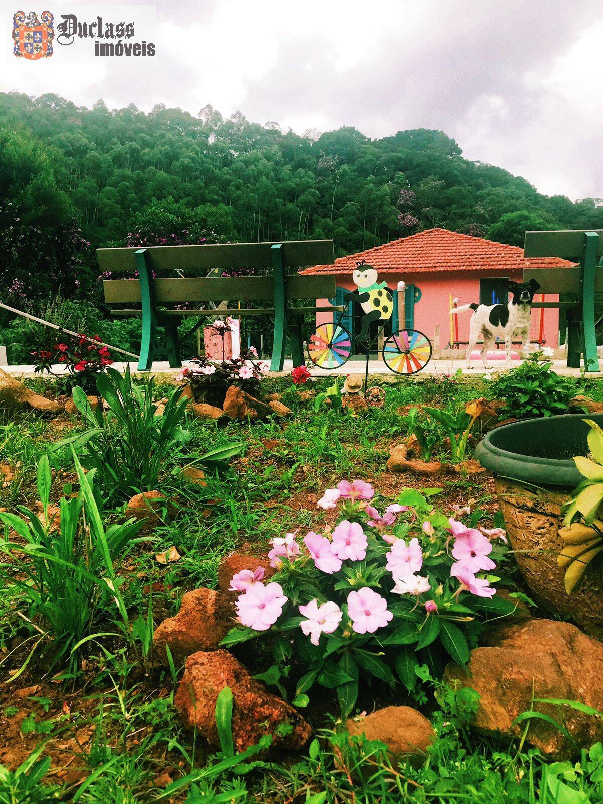 Chácara, 3 quartos, 2000 m² - Foto 5