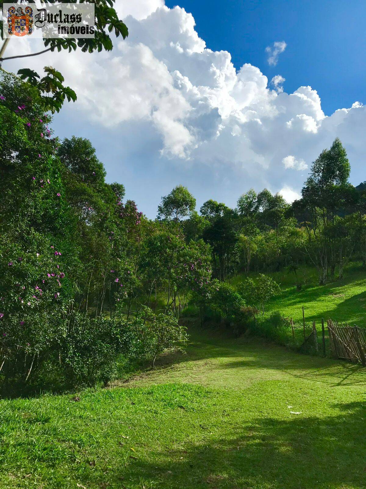 Chácara, 3 quartos, 2000 m² - Foto 9