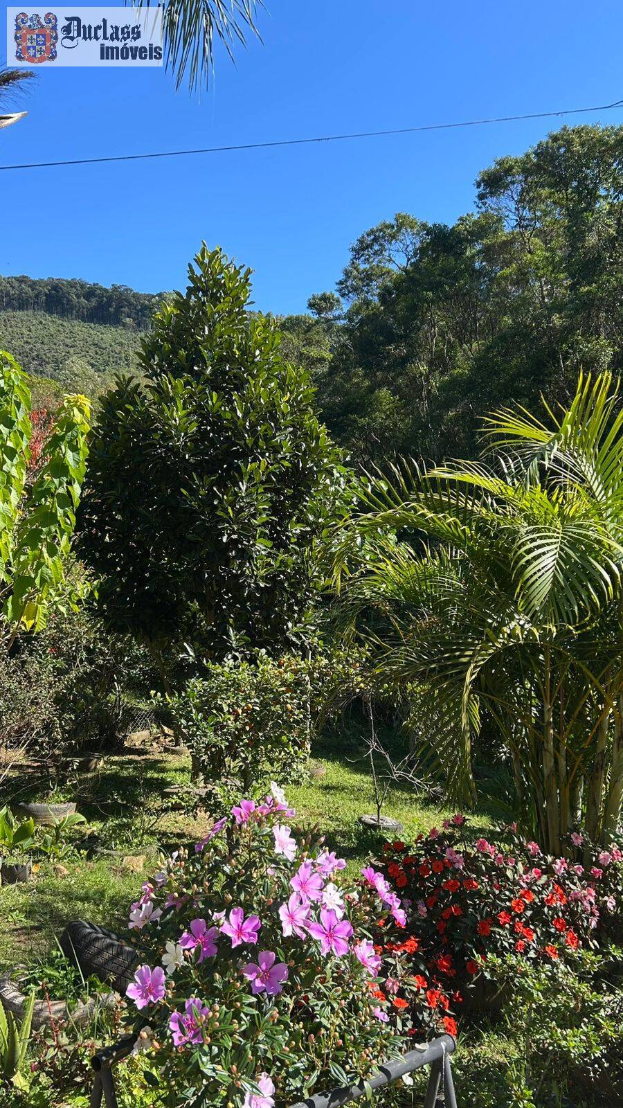 Chácara, 3 quartos, 2000 m² - Foto 11