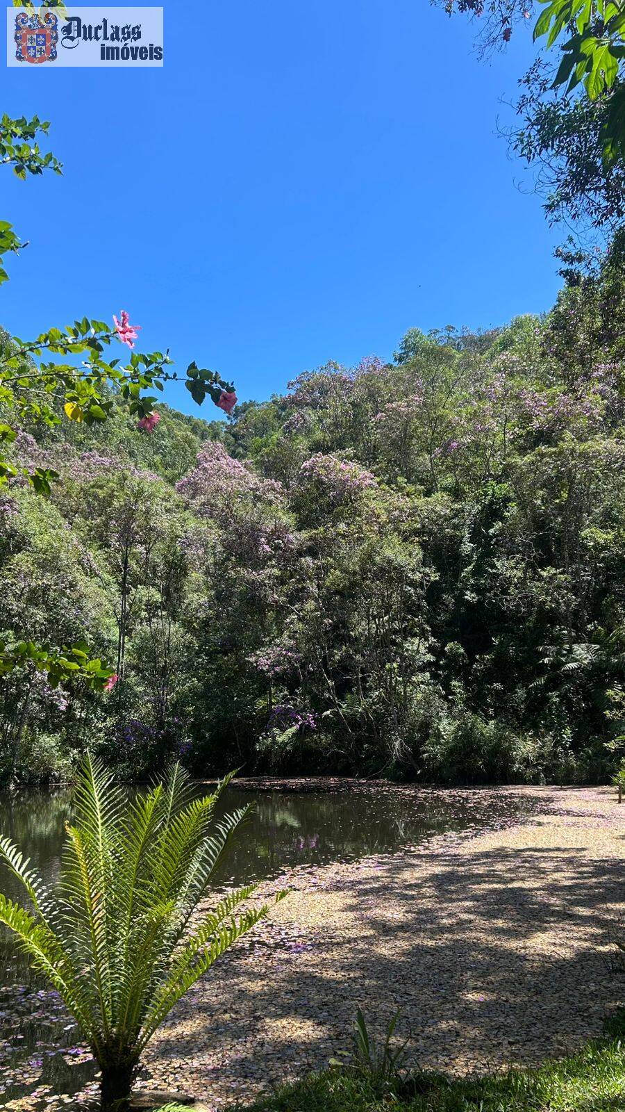 Chácara, 3 quartos, 2000 m² - Foto 14