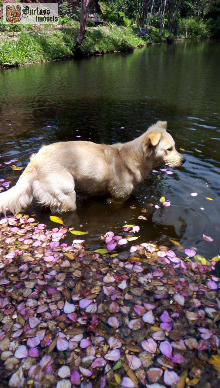 Chácara, 3 quartos, 2000 m² - Foto 16