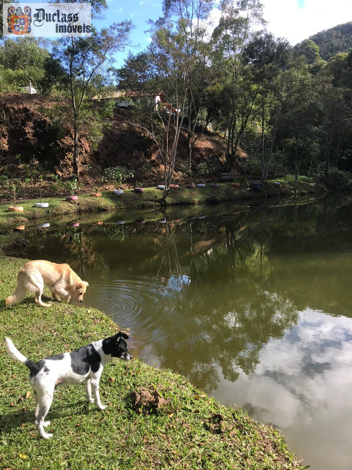 Chácara, 3 quartos, 2000 m² - Foto 17