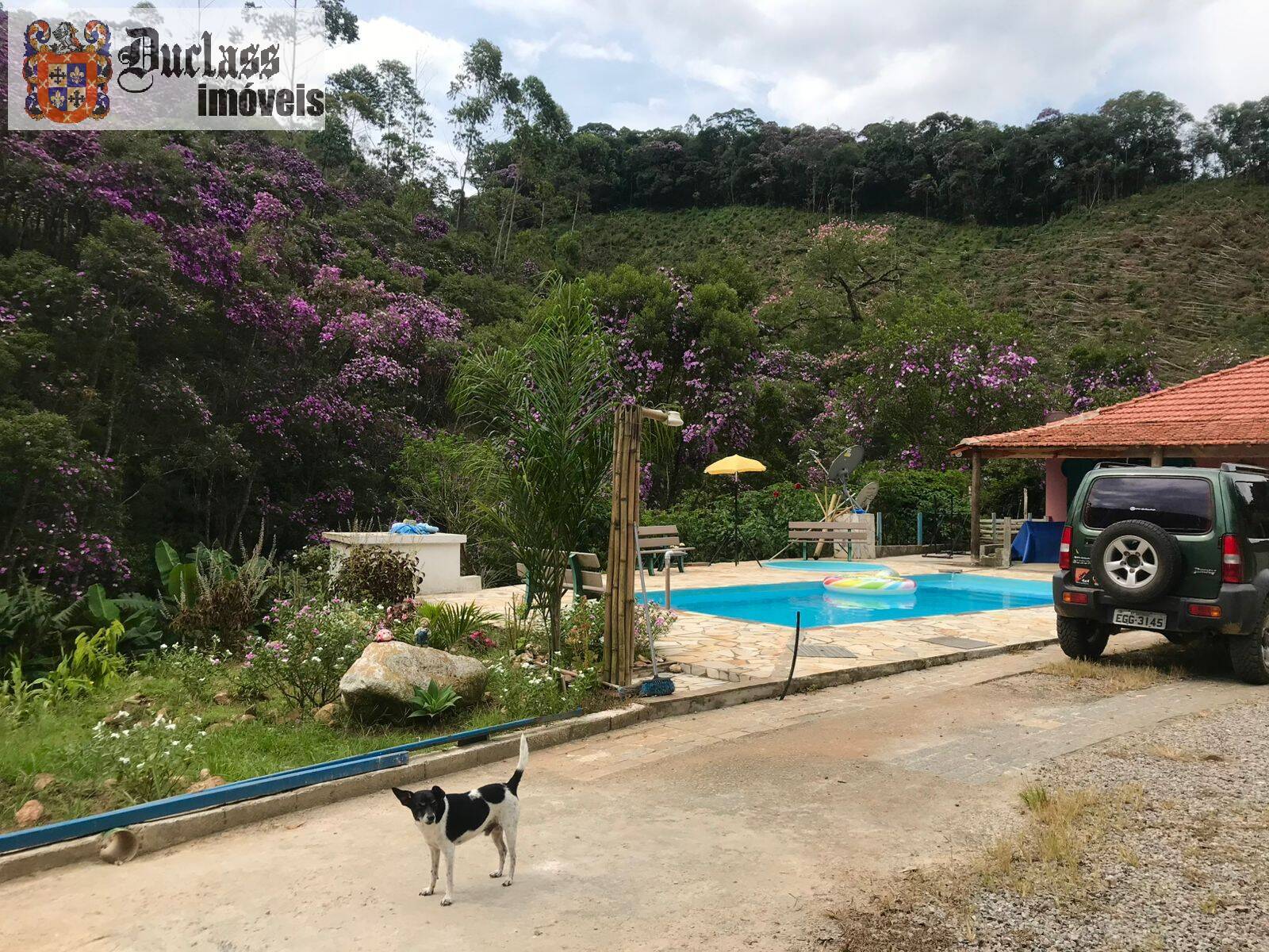 Chácara, 3 quartos, 2000 m² - Foto 19