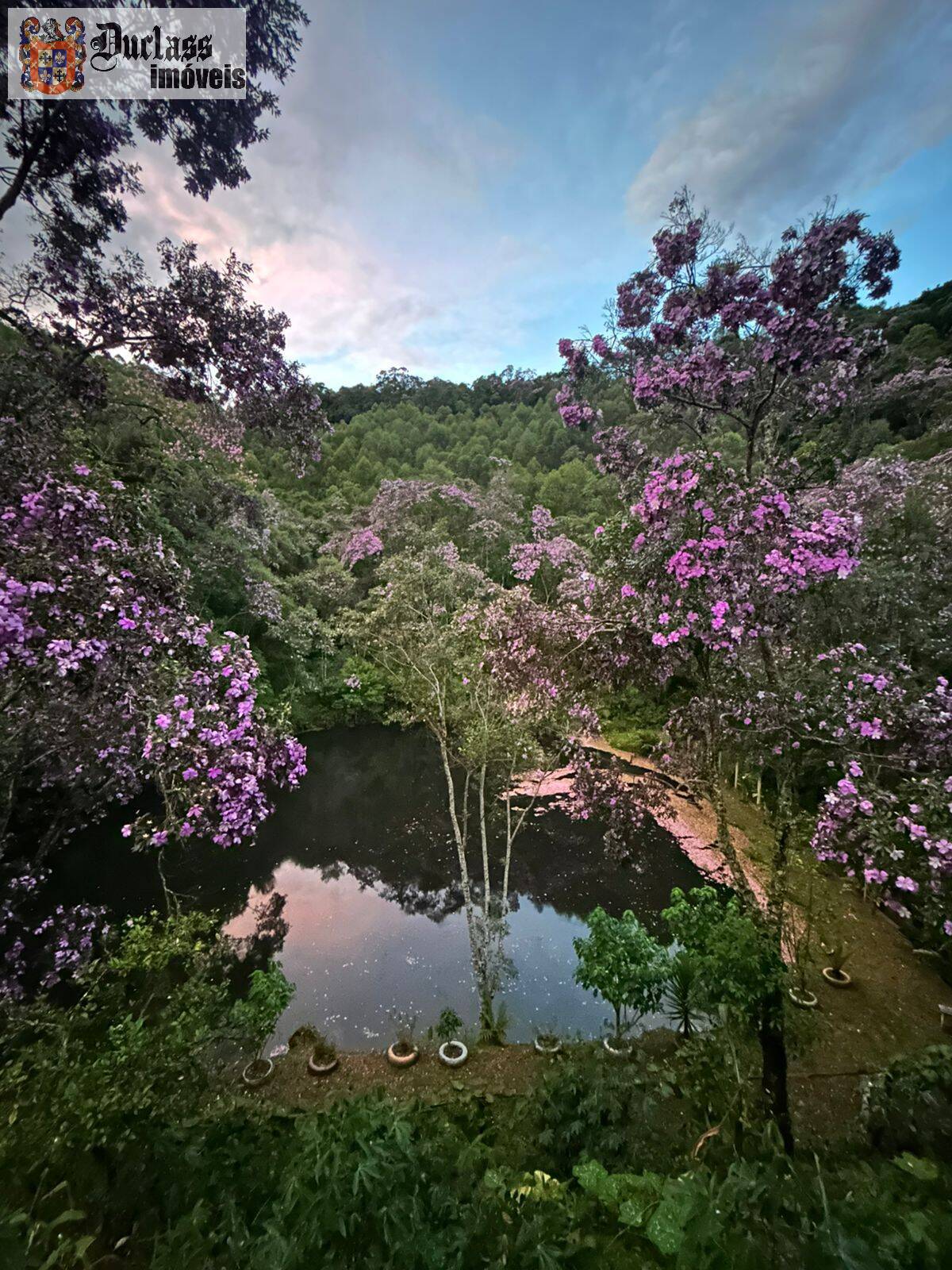 Chácara, 3 quartos, 2000 m² - Foto 21