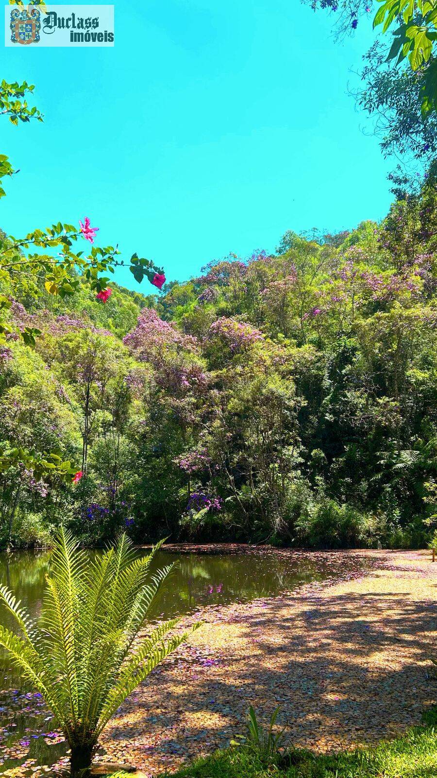 Chácara, 3 quartos, 2000 m² - Foto 20