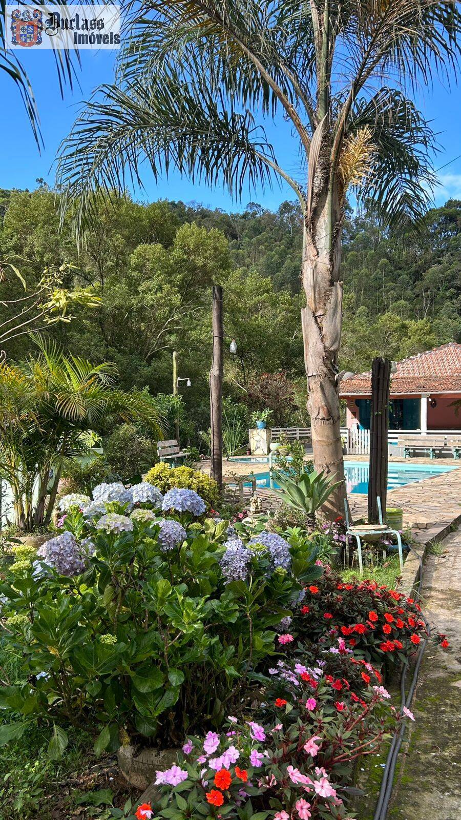 Chácara, 3 quartos, 2000 m² - Foto 27