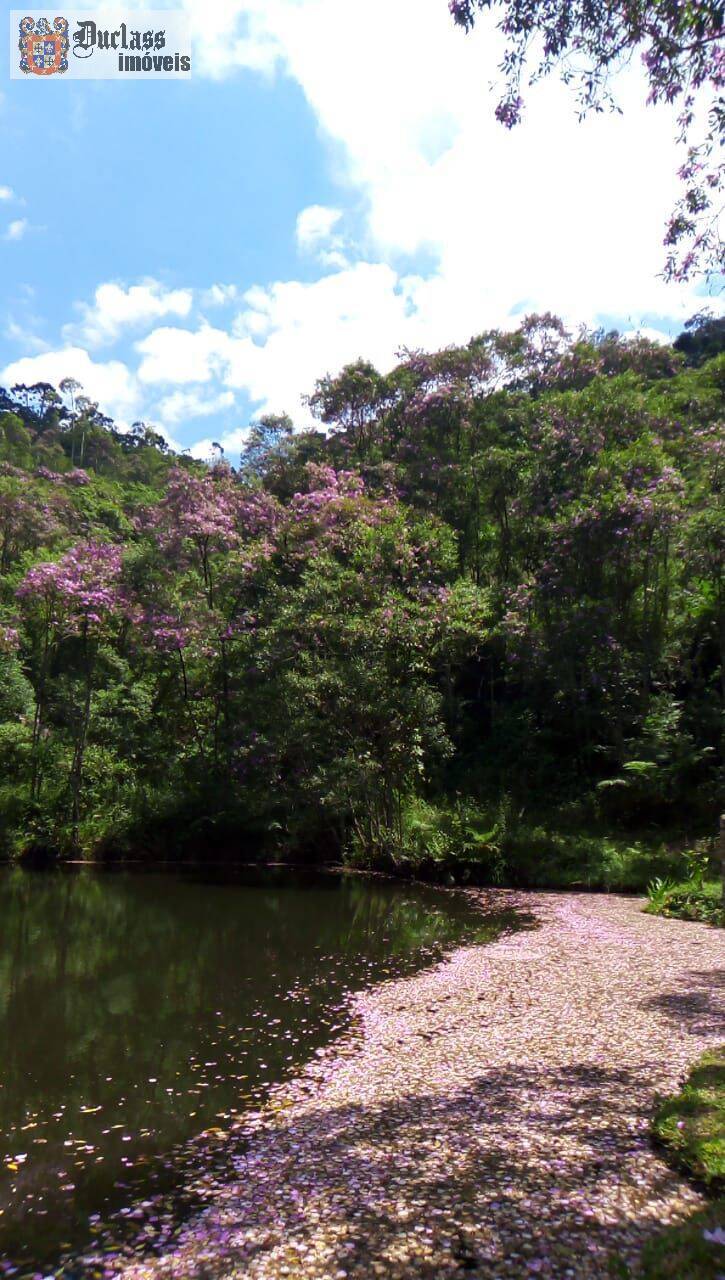 Chácara, 3 quartos, 2000 m² - Foto 29