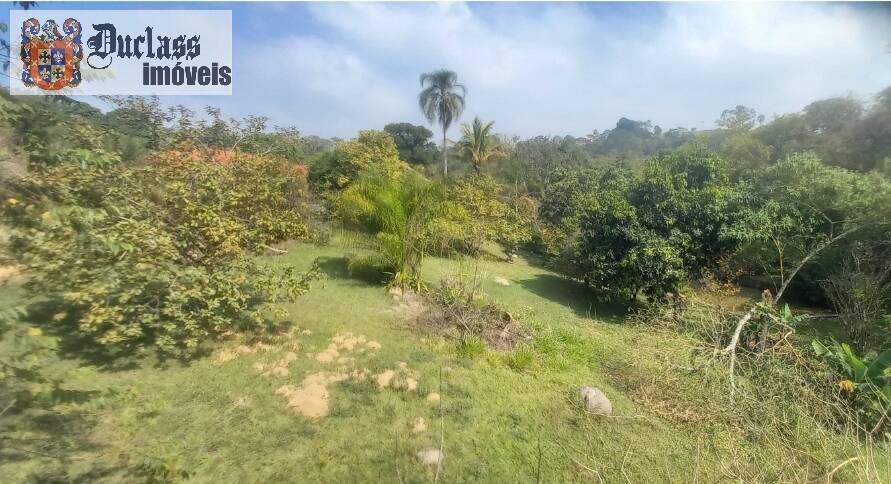 Chácara, 4 quartos, 960 m² - Foto 75