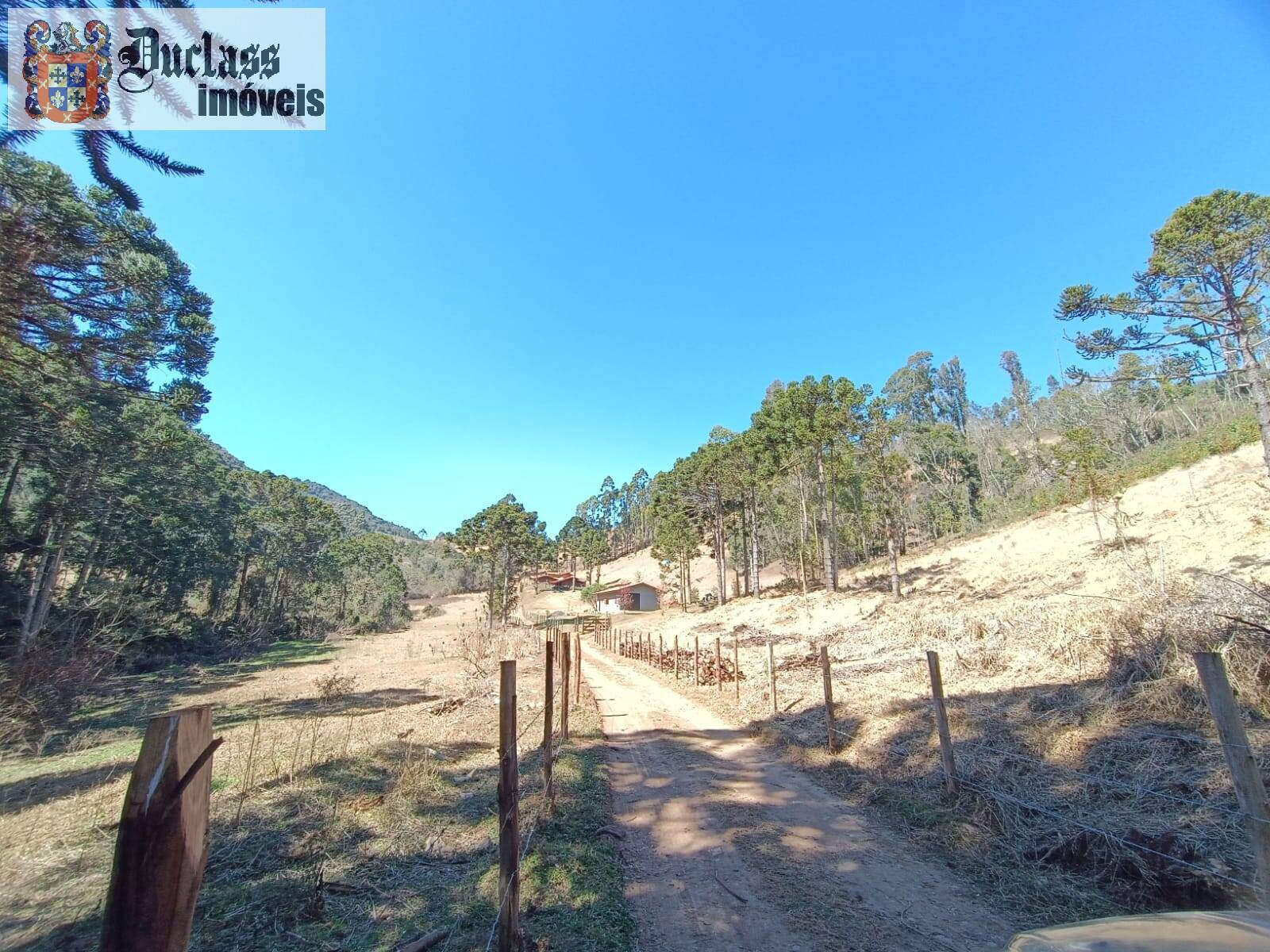 Sítio, 5 quartos, 13 hectares - Foto 3