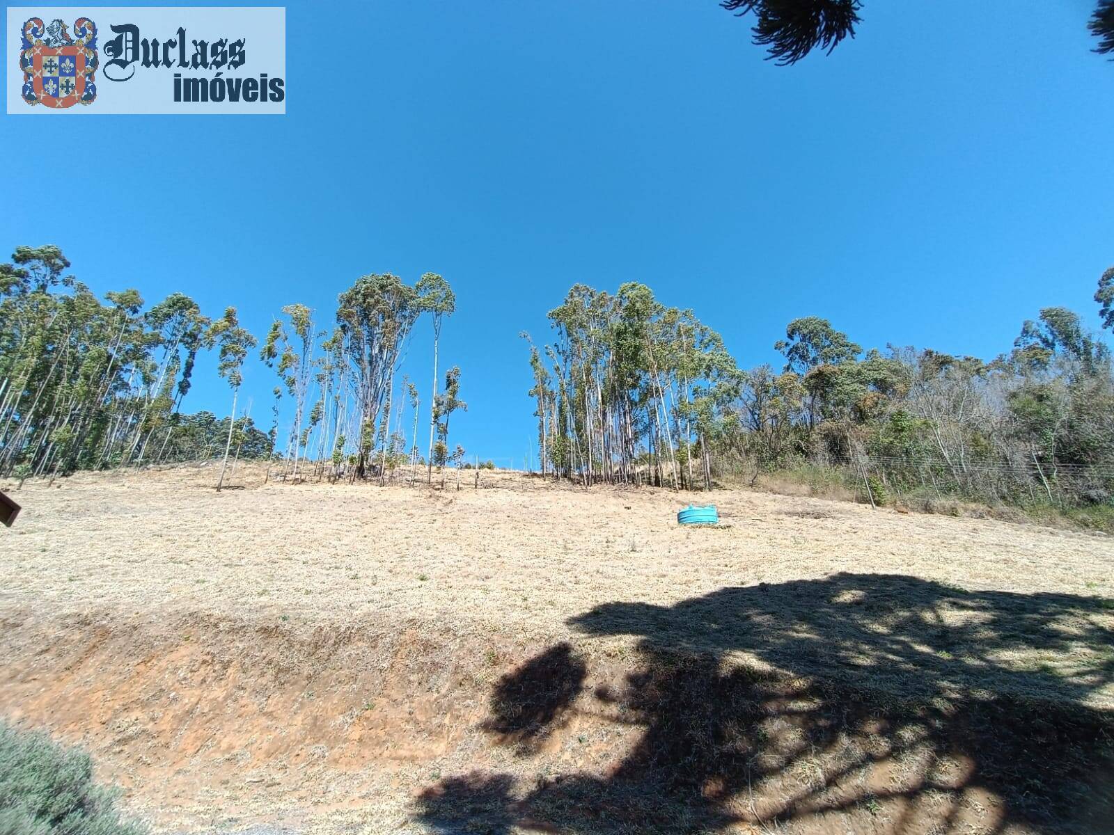 Sítio, 5 quartos, 13 hectares - Foto 9