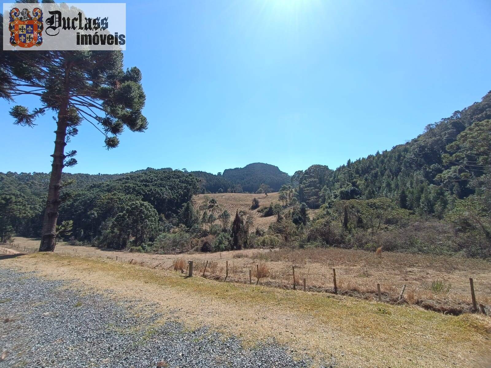 Sítio, 5 quartos, 13 hectares - Foto 10