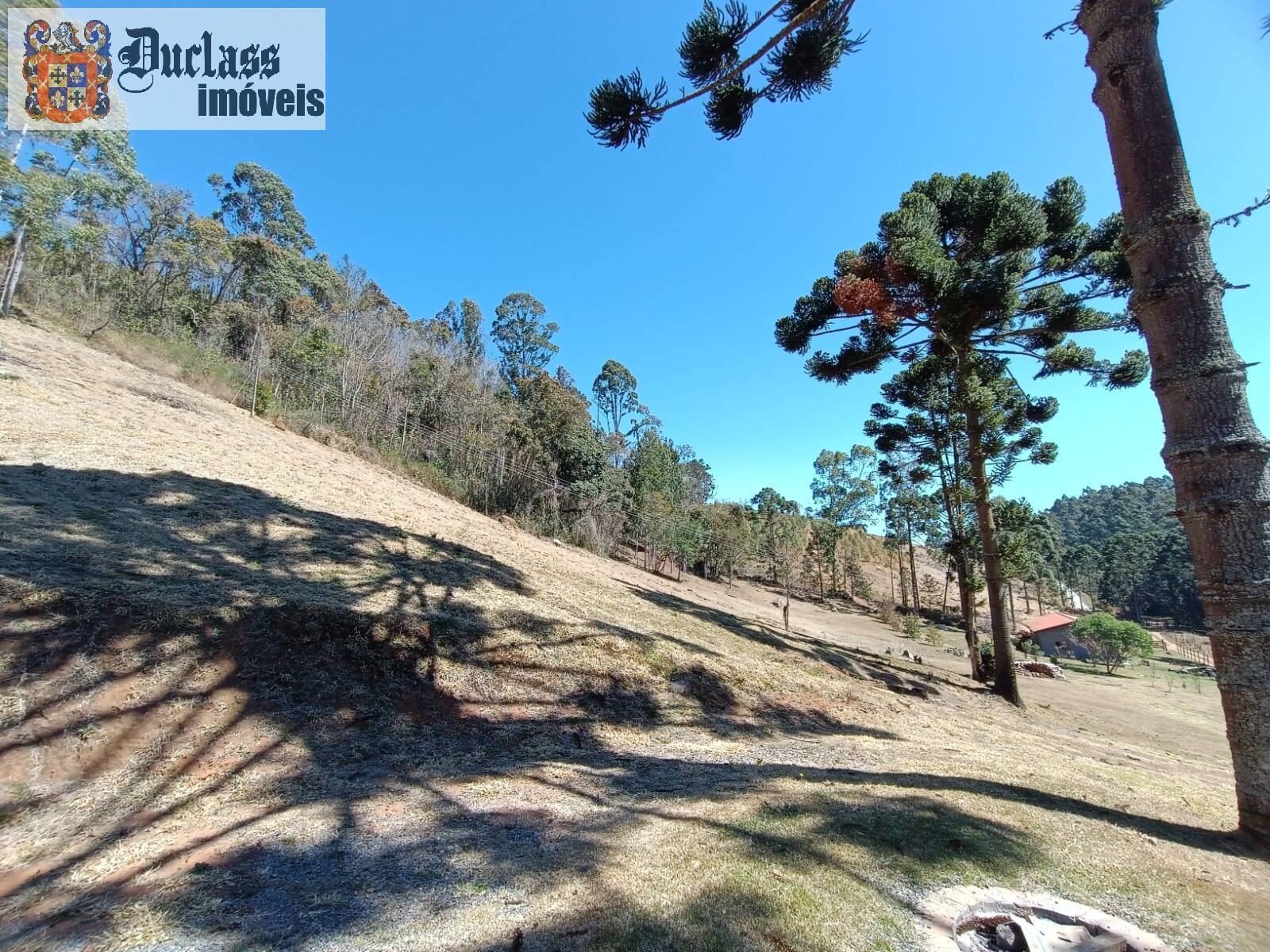 Sítio, 5 quartos, 13 hectares - Foto 13