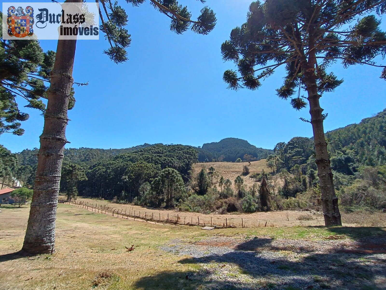 Sítio, 5 quartos, 13 hectares - Foto 14